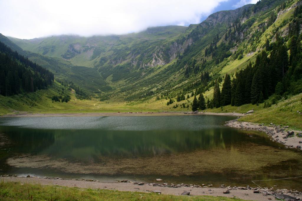 Residence Les Chardons Argentes 2 Samoëns Buitenkant foto