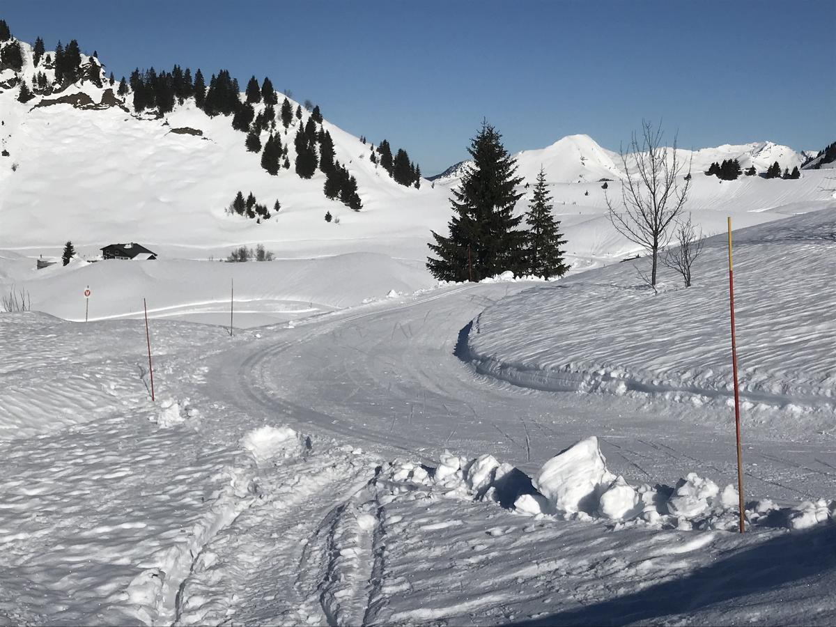 Residence Les Chardons Argentes 2 Samoëns Buitenkant foto